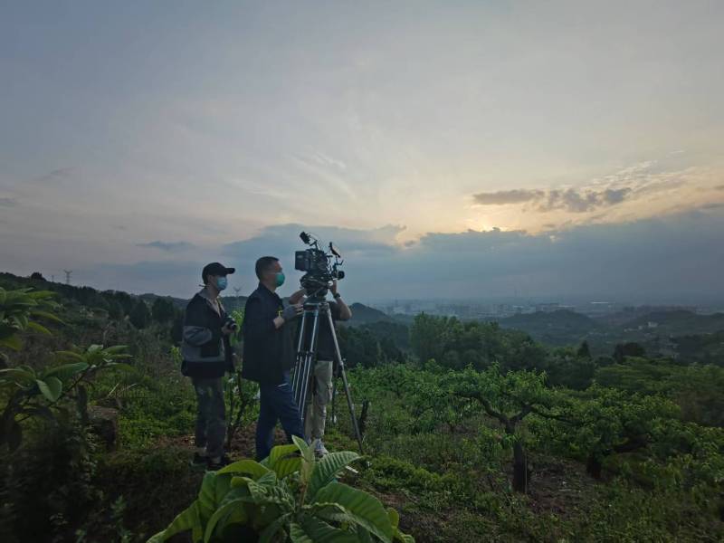 创意破圈！中站区电商产品宣传视频用故事化叙事引爆流量