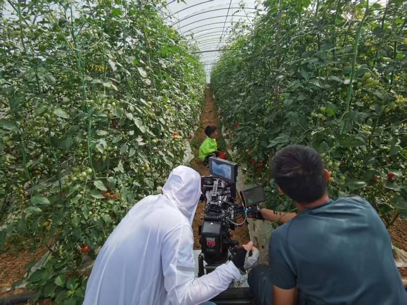 中站区产品宣传视频拍摄公司进阶指南，助力品牌抢占传播高地